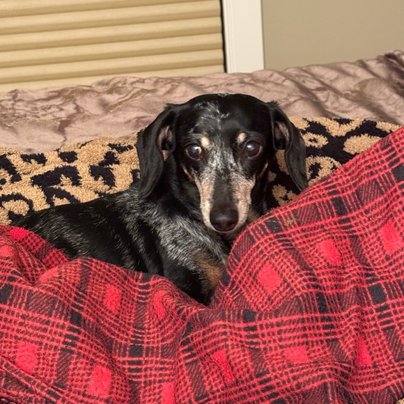 Meet your Posher - Picture 5 of 13